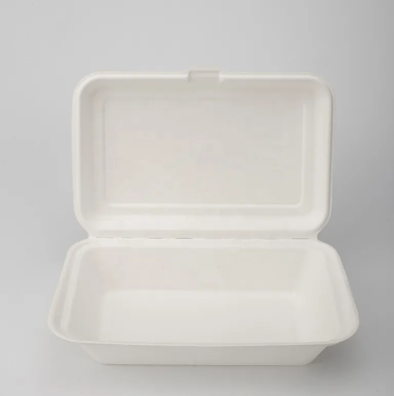 Environmental protection disposable lunch box lunch box square