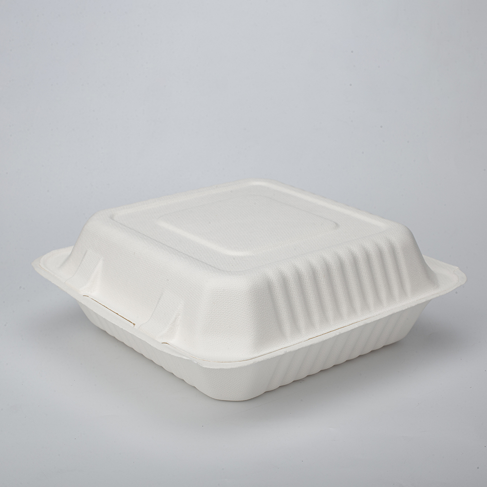 GeoTegrity - Disposable Biodegradable Food Container Sugarcane Bagasse ...