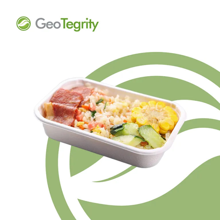 GeoTegrity - Fiambrera Bento de pulpa de bagazo de caña de azúcar  biodegradable desechable de 8 pulgadas sin PFAS