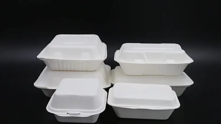 plastic disposable food containers lunch boxes bento boxes takeaway box food  container for fast food