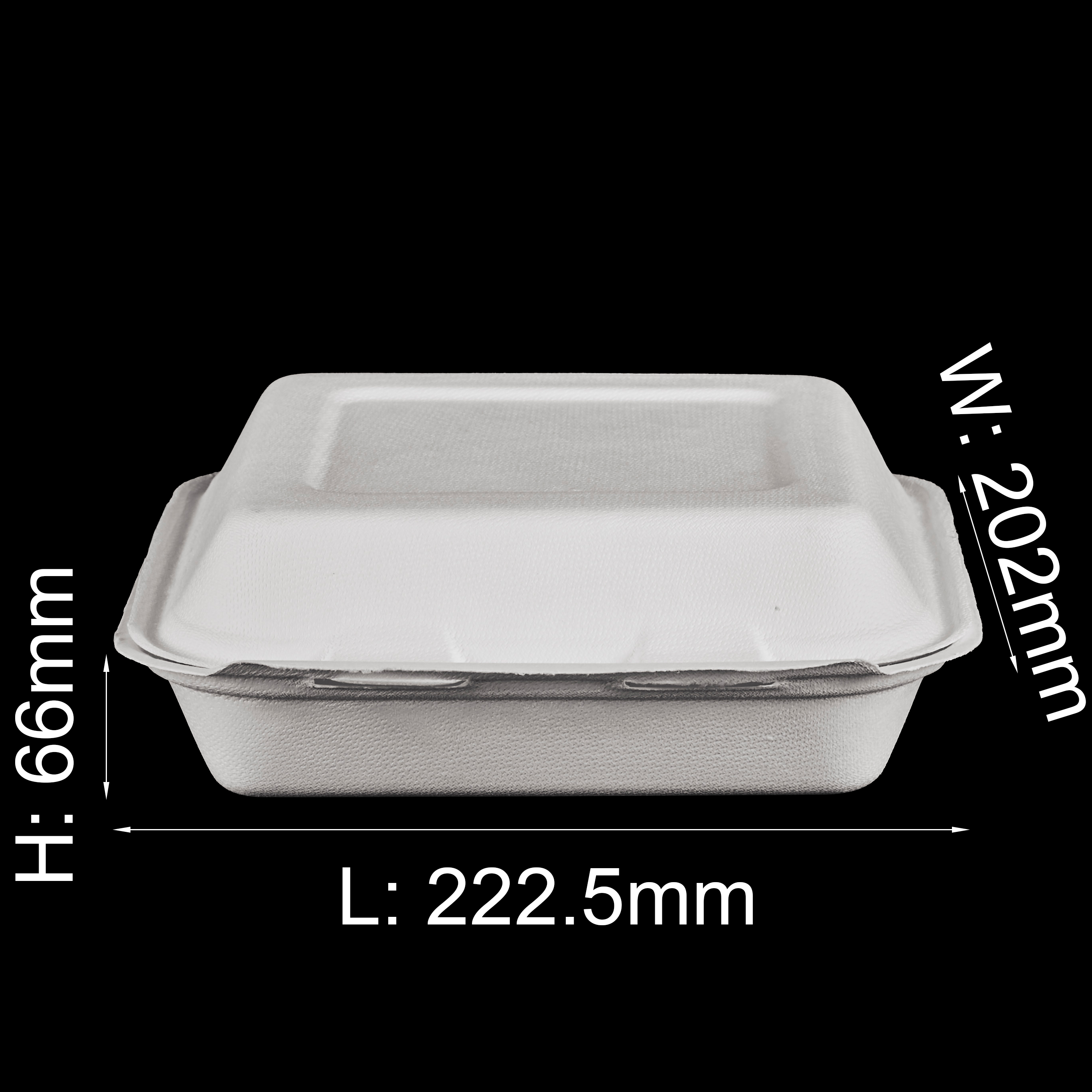 GeoTegrity - Biodegradable Food Container Sugarcane Bagasse Pulp Mold ...