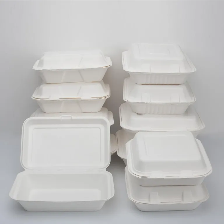 Eco friendly disposable lunch boxes