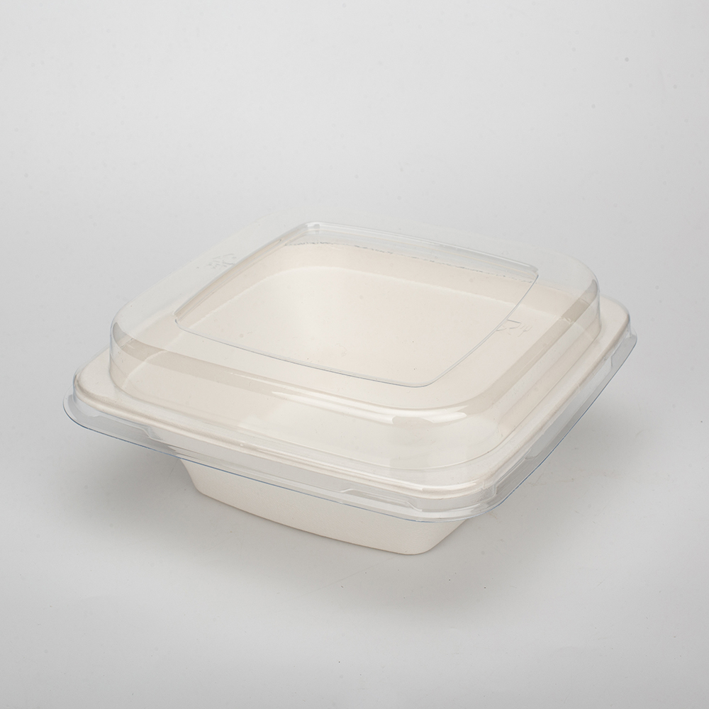 GeoTegrity - Biodegradable Sugarcane Bagasse Pulp Mould Disposable ...