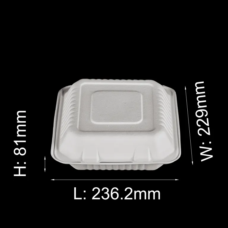 GeoTegrity - Biodegradable 3 Compartment Take Out Container Food Packaging  Sugarcane Bagasse Pulp Lunch Box Supplier