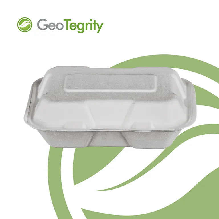 GeoTegrity - Moldeo de pulpa de bagazo de caña de azúcar biodegradable Envases  para comida rápida para