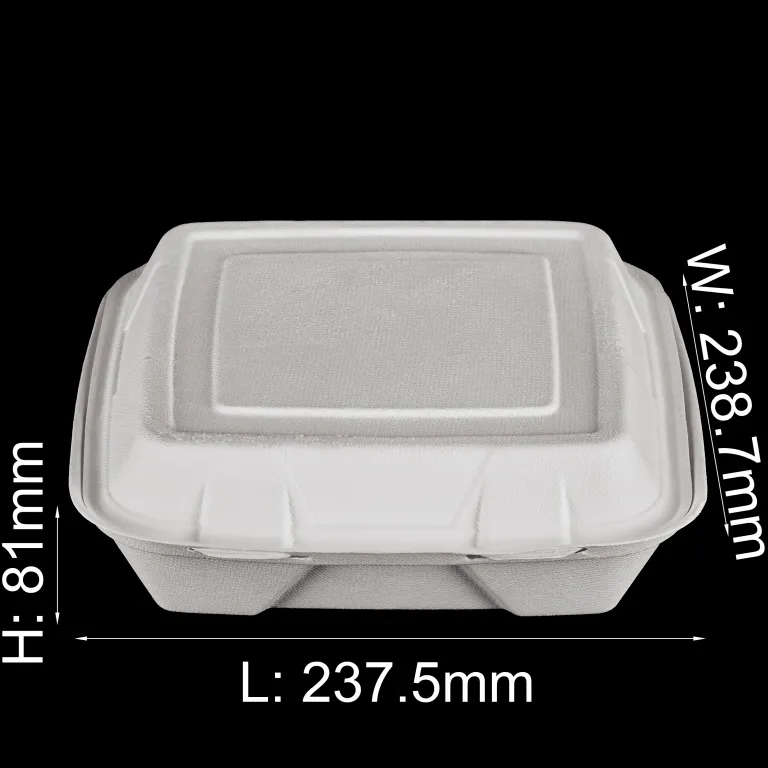 Custom Biodegradable Disposable Take Out/To Go Food Container