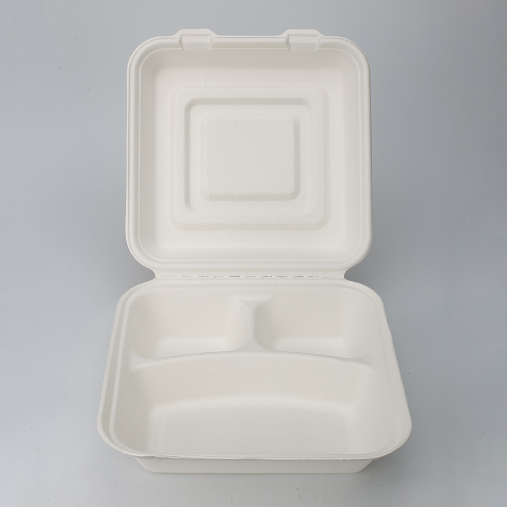 GeoTegrity - Biodegradable Food Container Sugarcane Bagasse Pulp Mold ...