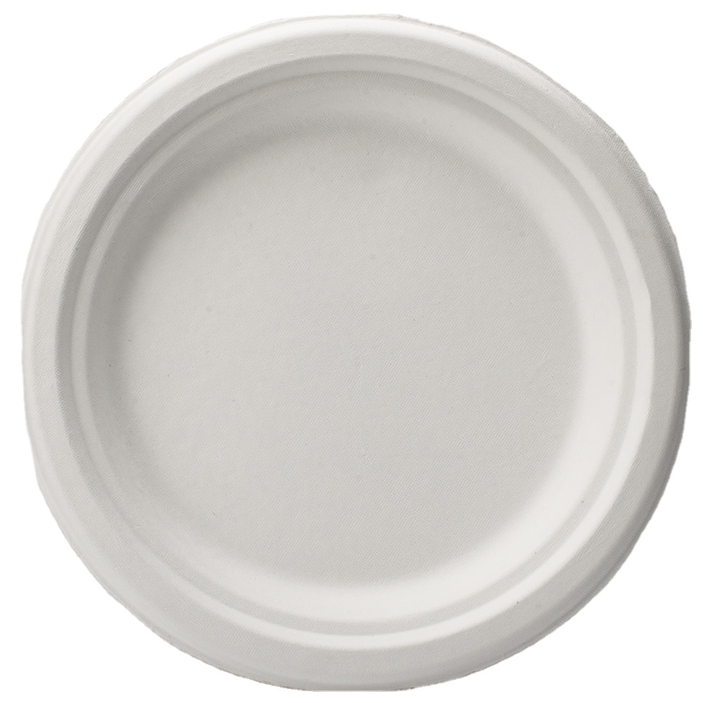  Customized GeoTegrity - 100% Biodegradable Disposable 10 Inch White Plate Bagasse Sugarcane Plates Bagasse Plate manufacturers From China | GeoTegrity 