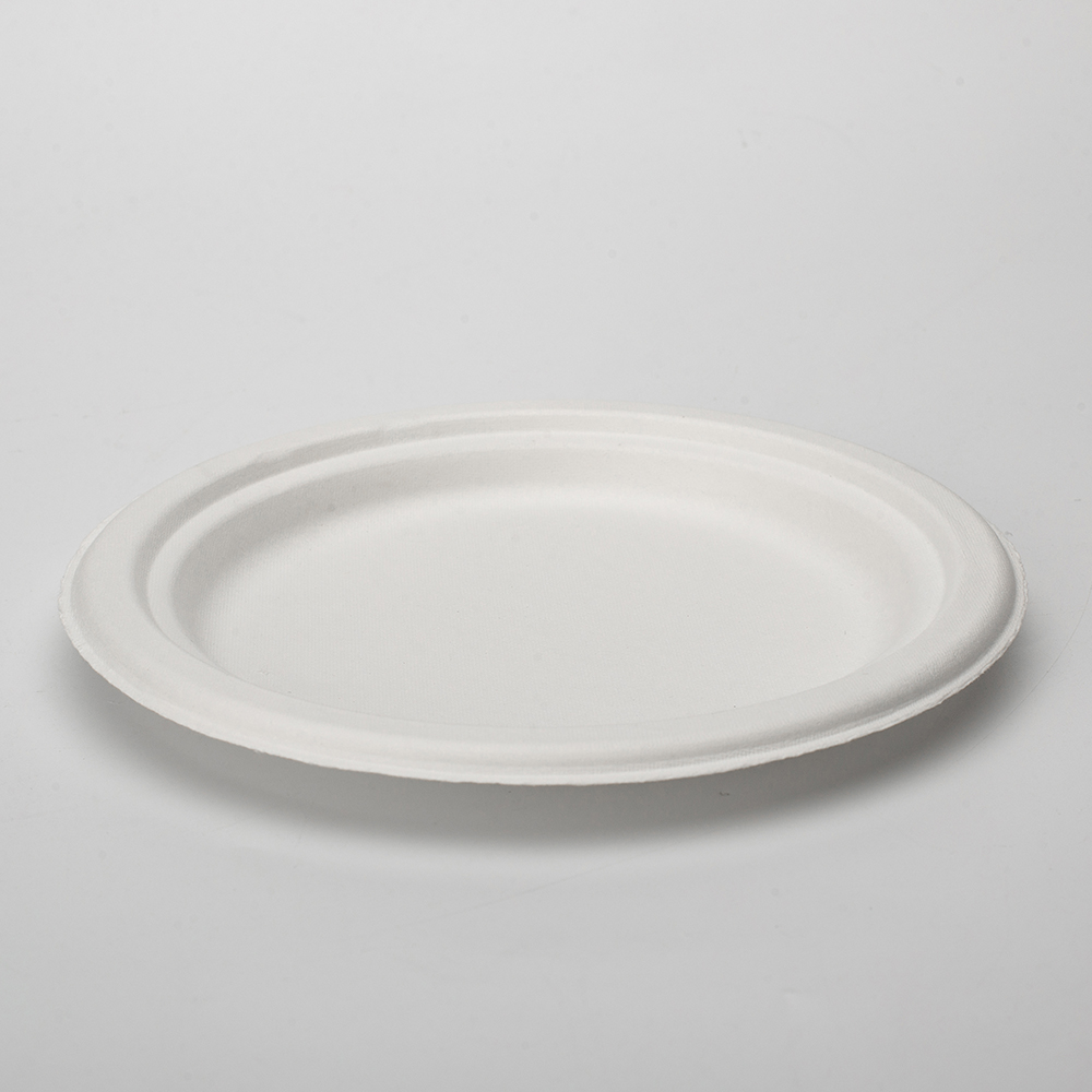 Geotegrity Customized Biodegradable Disposable Inch Bagasse Sugarcane Plates