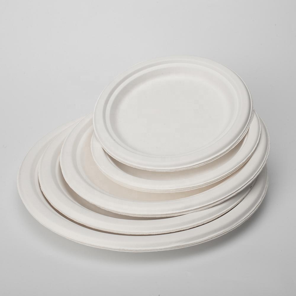GeoTegrity-platos desechables cuadrados para moldeado de pulpa de bagazo de  caña de azúcar, respetuosos con el medio ambiente, biodegradables y libres  de PFAS para placa de bagazo de restaurante