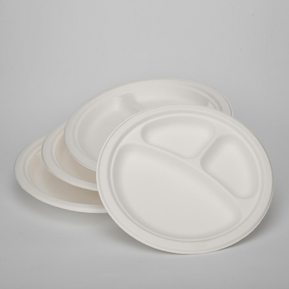 Cheap 10 Inch Three Compartments Plate Sugarcane Fiber Disposable Plate  Party Paper Plate - China Cheap 10 Inch Three Compartments Plate and  Disposable Plate price