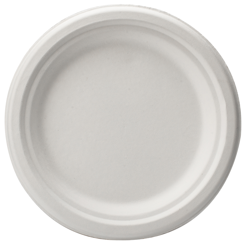 GeoTegrity 10inch Disposable Compostable Sugarcane Tableware