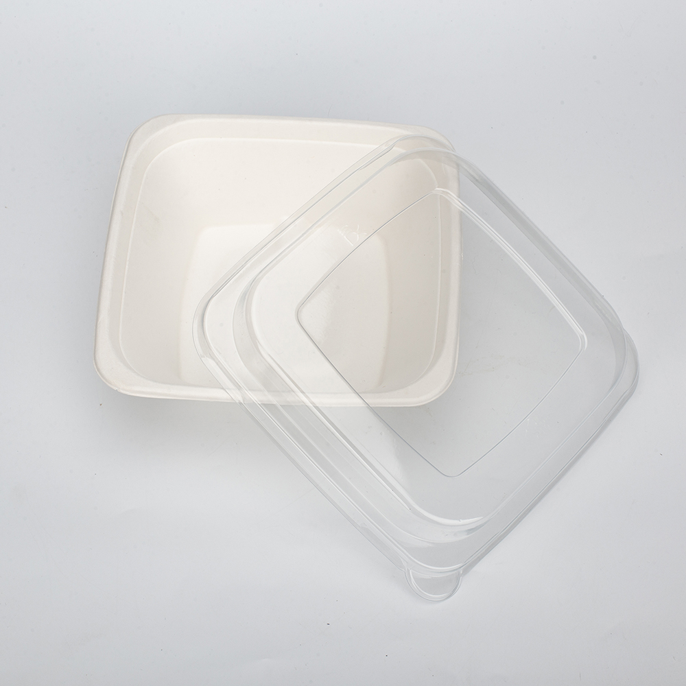 GeoTegrity - Disposable Biodegradable Sugarcane Bagasse Pulp Mould Food ...