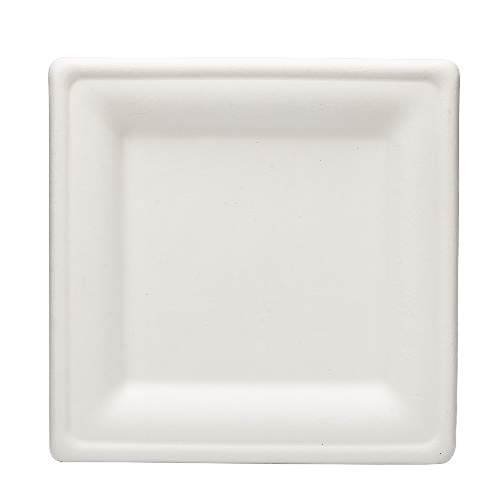 Disposable Bagasse Square Plates Supplier Manufacturer Geotegrity