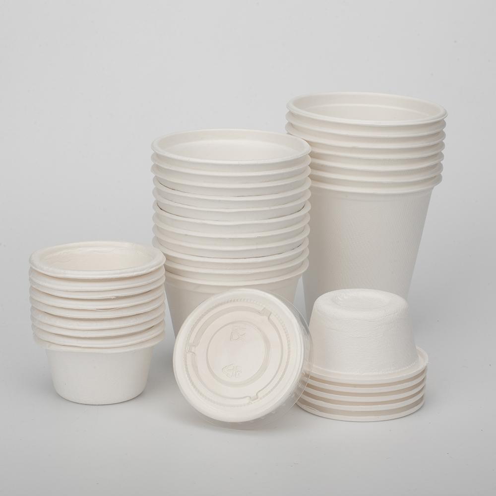 GeoTegrity - Disposable Biodegradable Sugarcane Bagasse Pulp Dessert ...