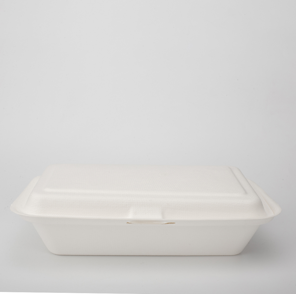 Biodegradable Pulp Food Packaging Disposable Sugarcane Take Out Bagasse ...