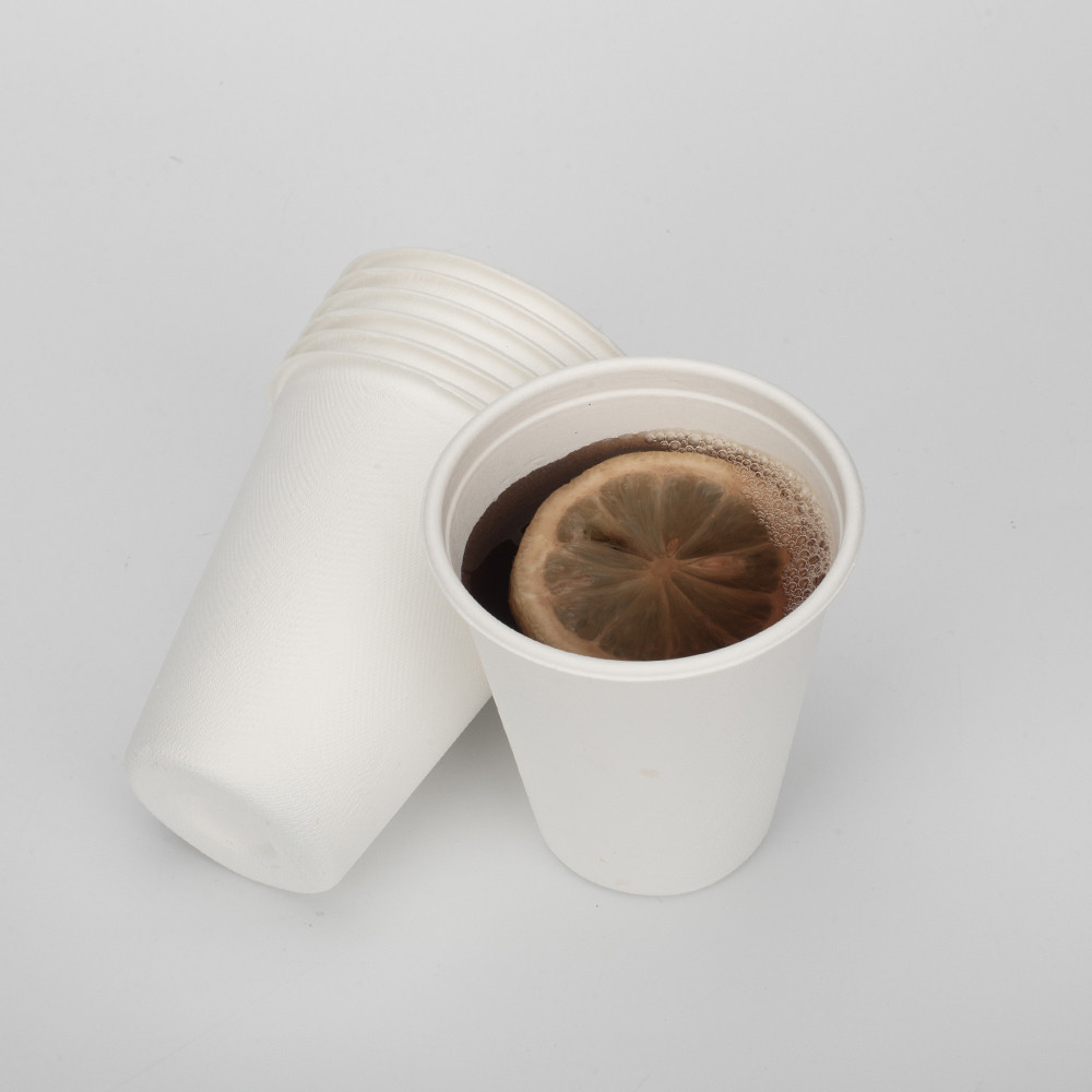 GeoTegrity - Biodegradable Sugarcane Bagasse Pulp Molding Disposable ...