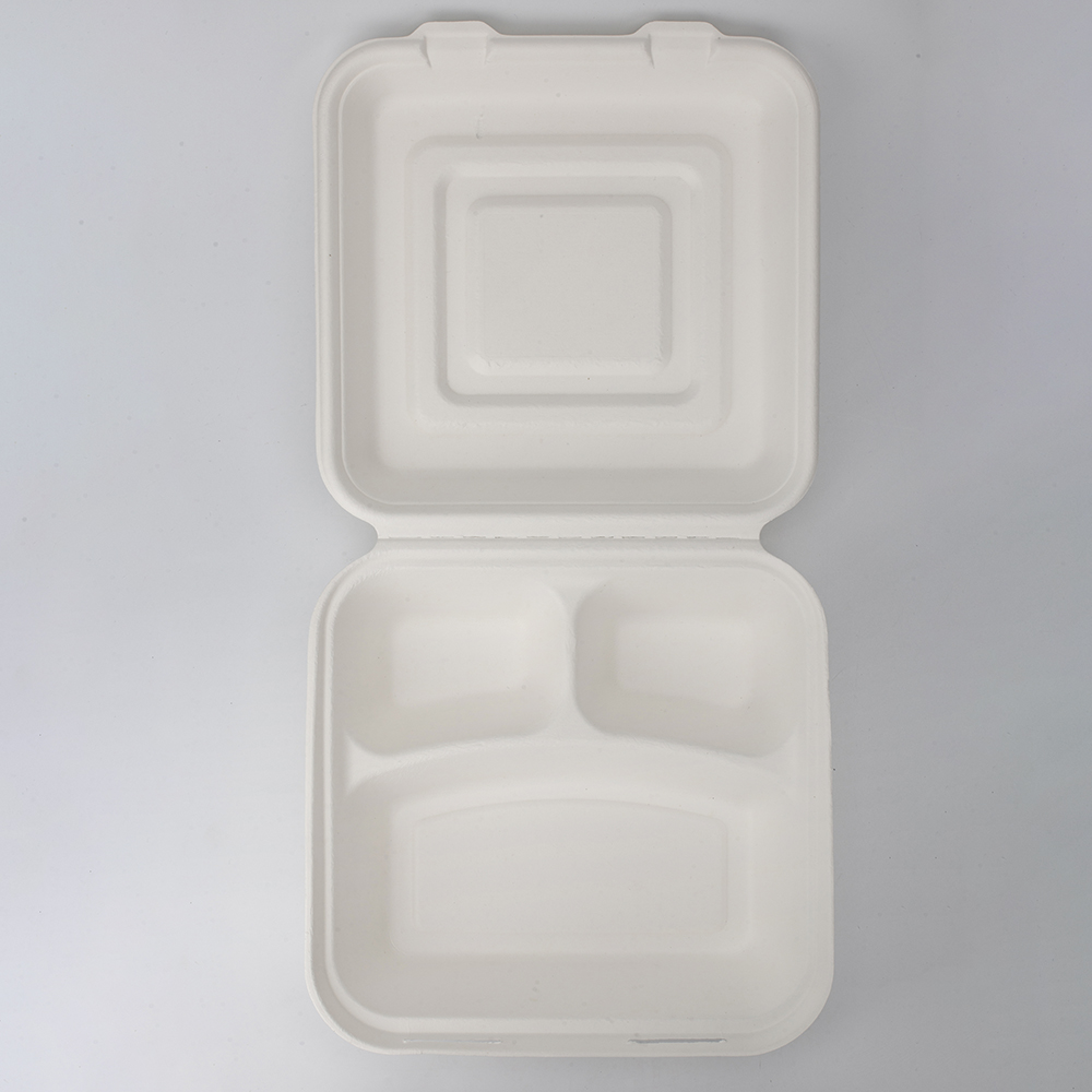 GeoTegrity - Custom Compostable Disposable Sugarcane Bagasse Pulp ...