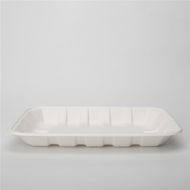 GeoTegrity - Eco-friendly Tray Disposable Bamboo Sugarcane Bagasse Pulp ...