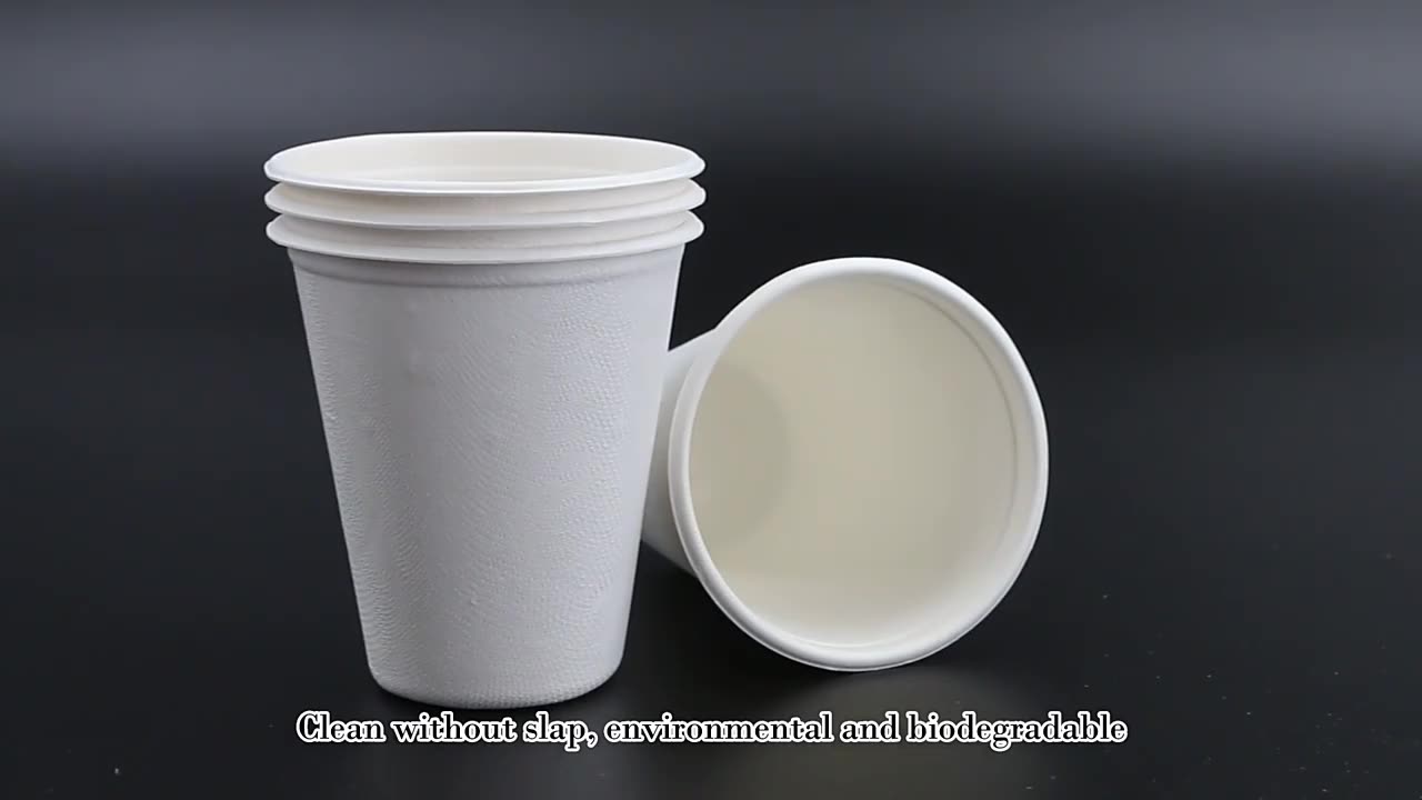 GeoTegrity - Biodegradable Sugarcane Bagasse Pulp Molding Disposable ...