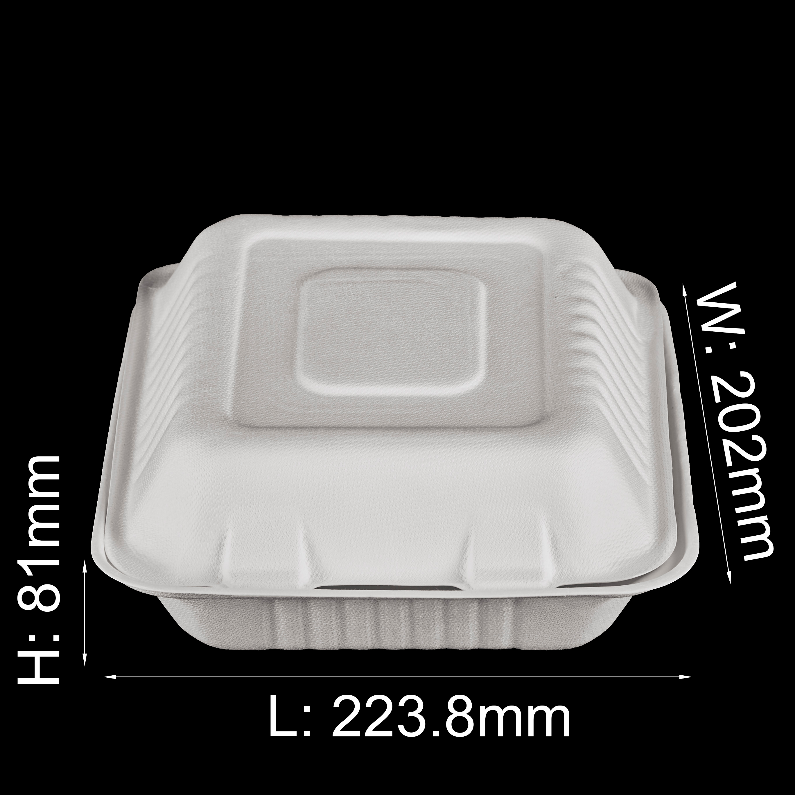 GeoTegrity - Biodegradable Eco-friendly Fast Food Packaging Sugarcane ...