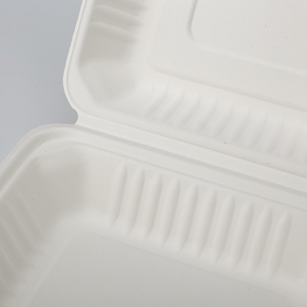 GeoTegrity - Disposable Biodegradable Food Container Sugarcane Bagasse ...