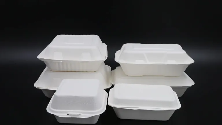 Disposable Plastic Container Biodegradable Eco-Friendly Clamshell