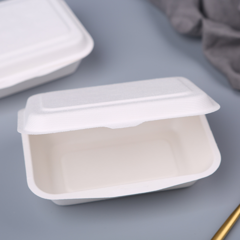 Disposable Lunch Box X Pulp Molding Biodegradable Sugarcane Food Container Bagasse Lunch