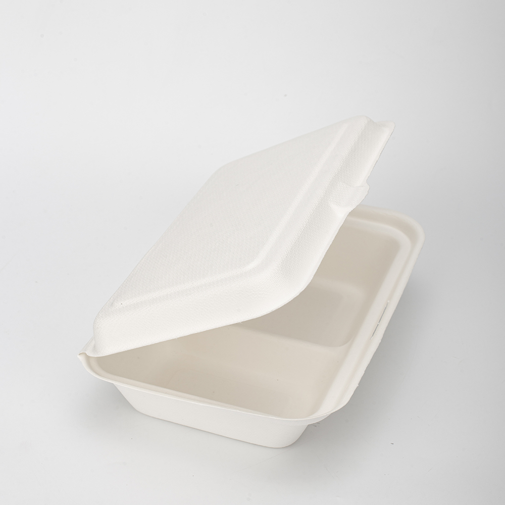 GeoTegrity - Envase biodegradable desechable para alimentos Empaquetado para  llevar Pulpa de bagazo de caña de azúcar