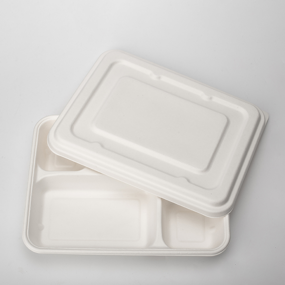 Geotegrity Bagasse Lunch Tray Compartment Eco Friendly