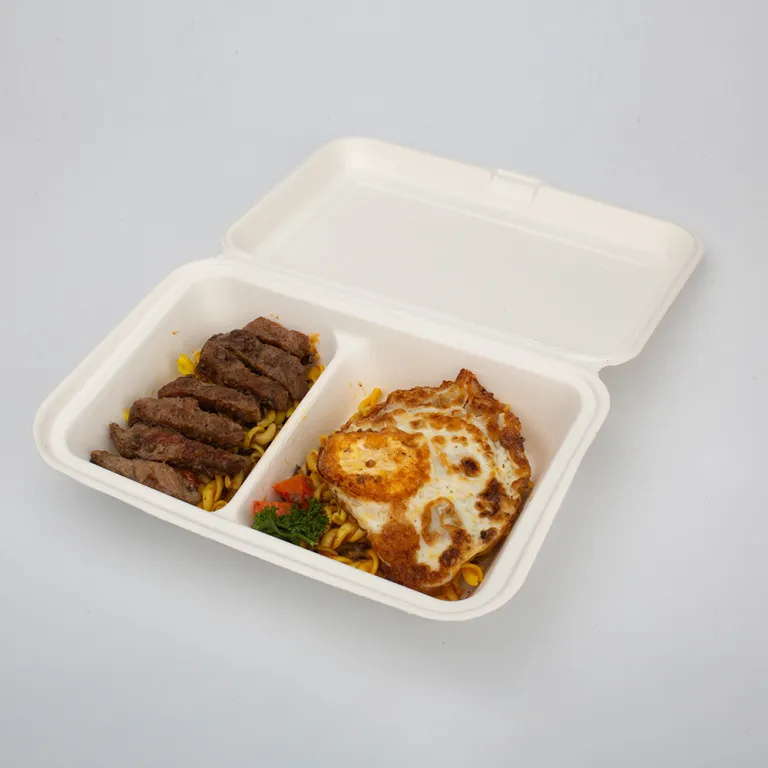 GeoTegrity - Boîte à bento moulée en pulpe de bagasse de canne à sucre  biodégradable jetable de