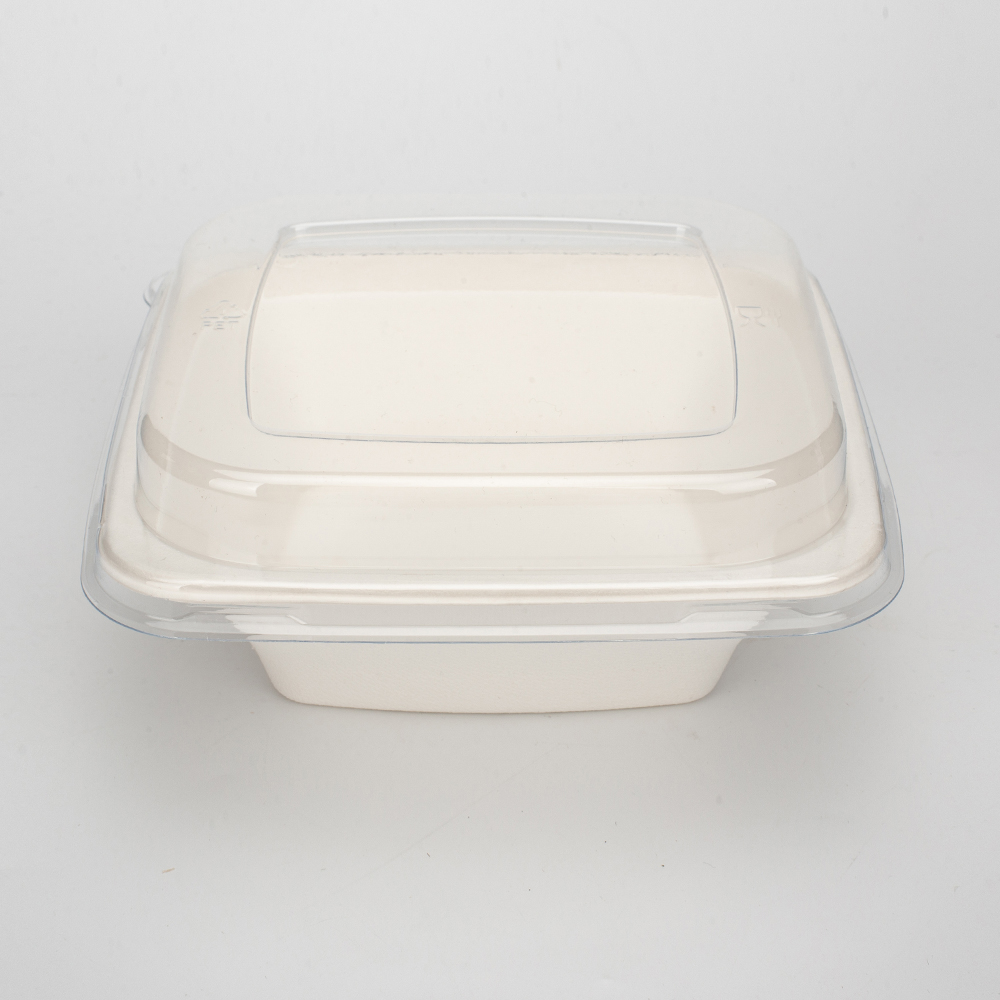 GeoTegrity - Biodegradable Sugarcane Bagasse Pulp Mould Disposable ...