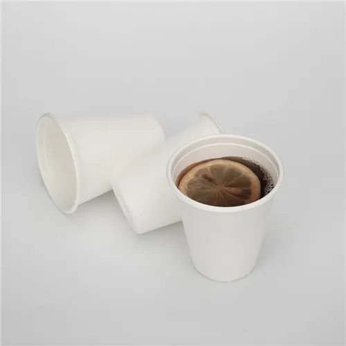GeoTegrity - Tasse à café jetable étanche personnalisée style mur blanc  industriel pulpe de canne à sucre emballage de thé tasse à café jetable  alimentaire tasse en bagasse