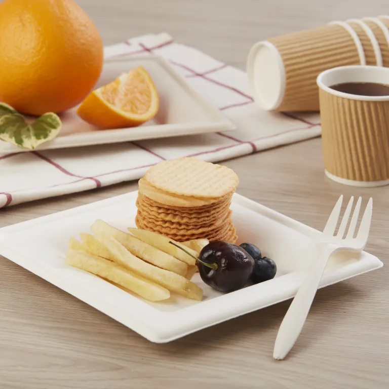 Assiettes Carton Carrées 1000pcs - 13x20cm - Biodégradables - Pour Snack, Fête, Restaurant
