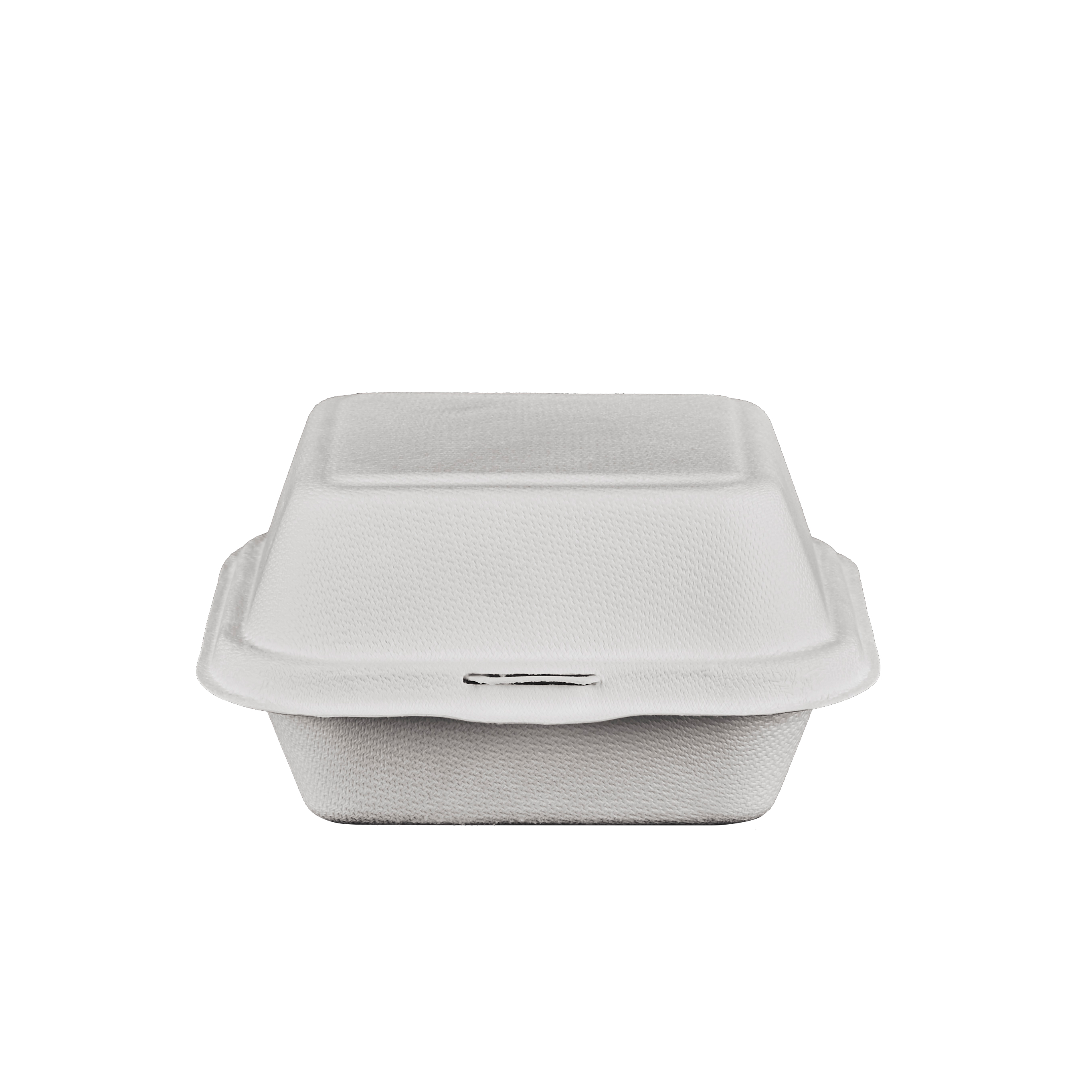 GeoTegrity - Disposable Biodegradable Sugarcane Bagasse Pulp Burger Box ...