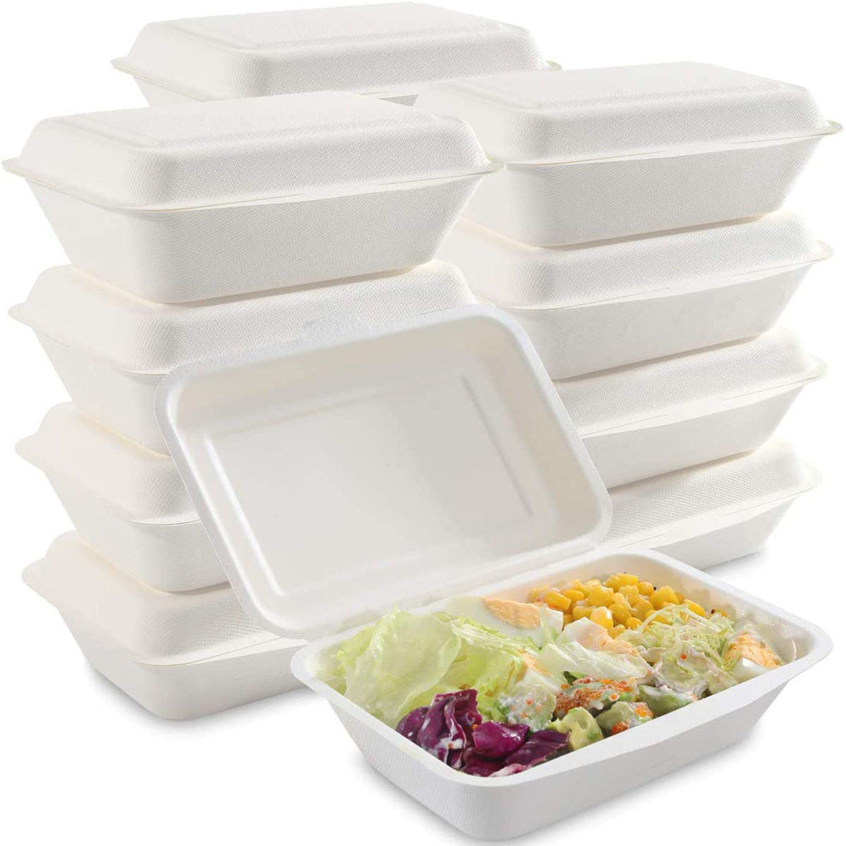 GeoTegrity - Eco Friendly Jetable Biodégradable 100% Moulage De Pâte De  Bagasse De Canne À Sucre Emballage De Fast Food Bento Boîte À Lunch À  Clapet Boîte De Bagasse