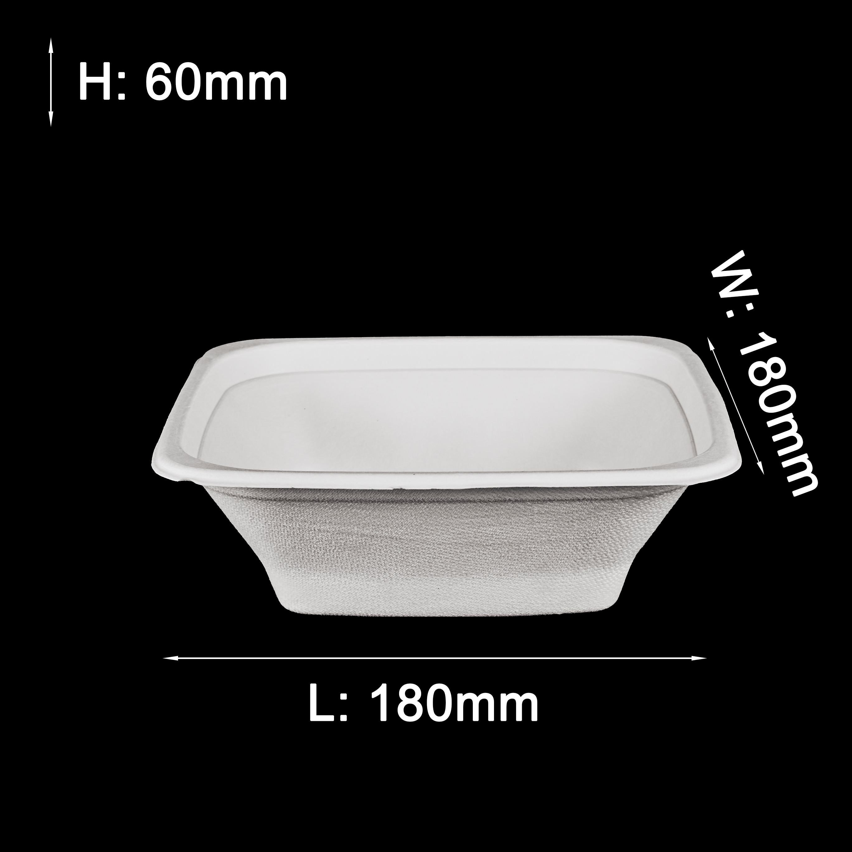GeoTegrity - Biodegradable Sugarcane Bagasse Pulp Mould Disposable ...