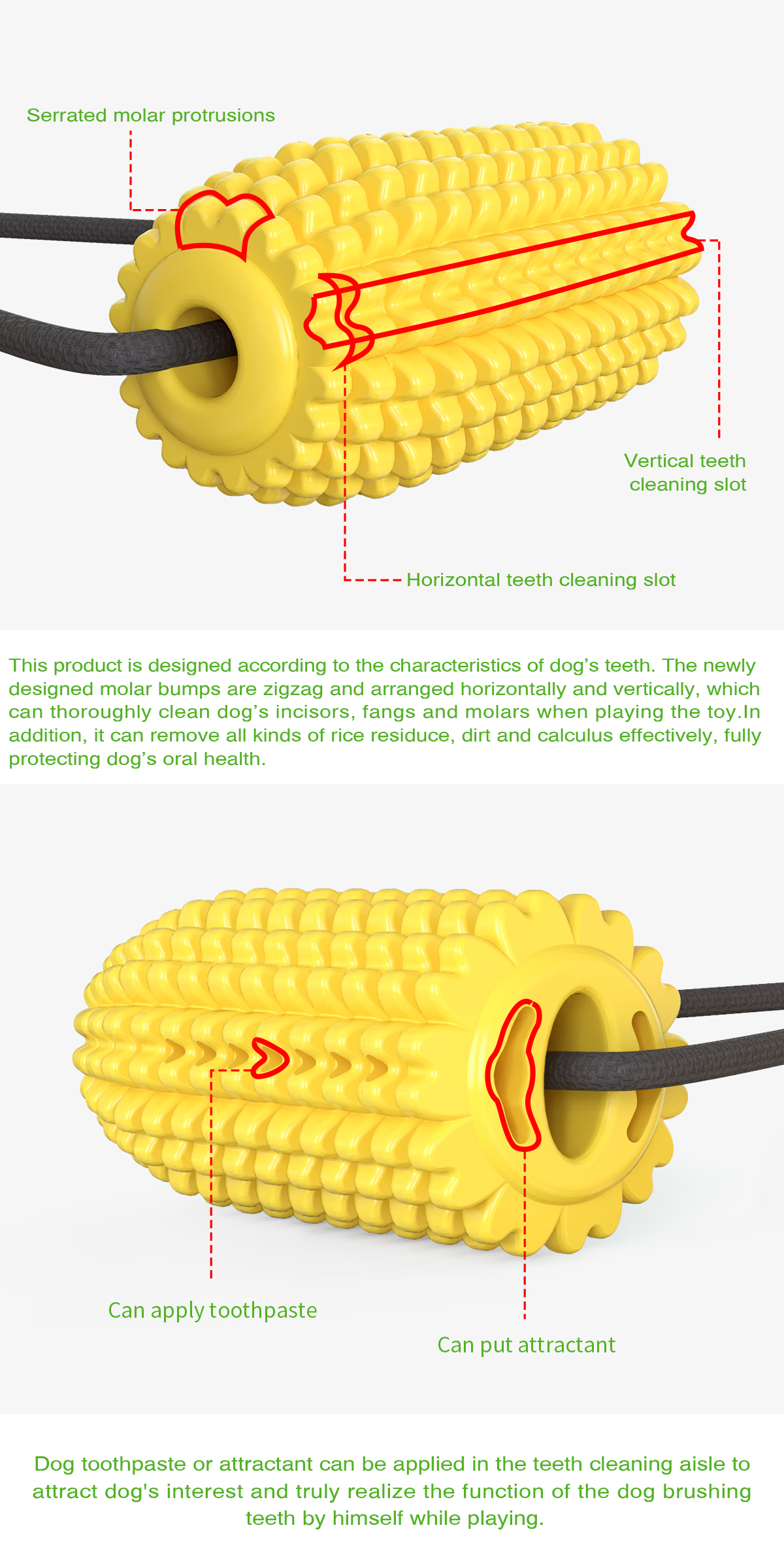 Sucker corn molars/dog toy chuck molar dog toy Clean mouth Single suction cup