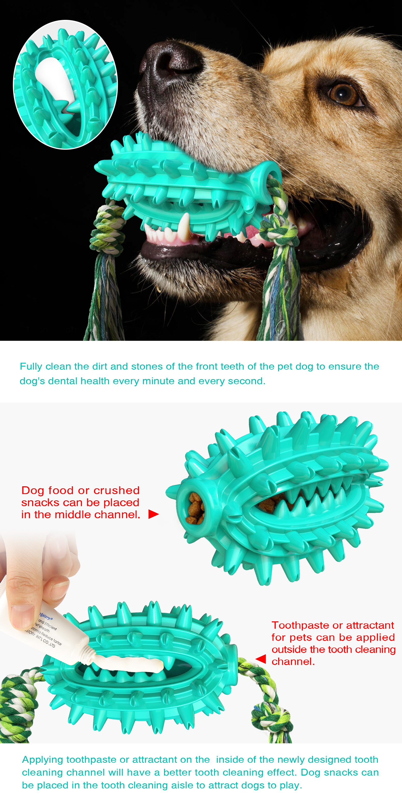 Prickly pear grinds teeth dog chew toys cactus molar ball for dogs