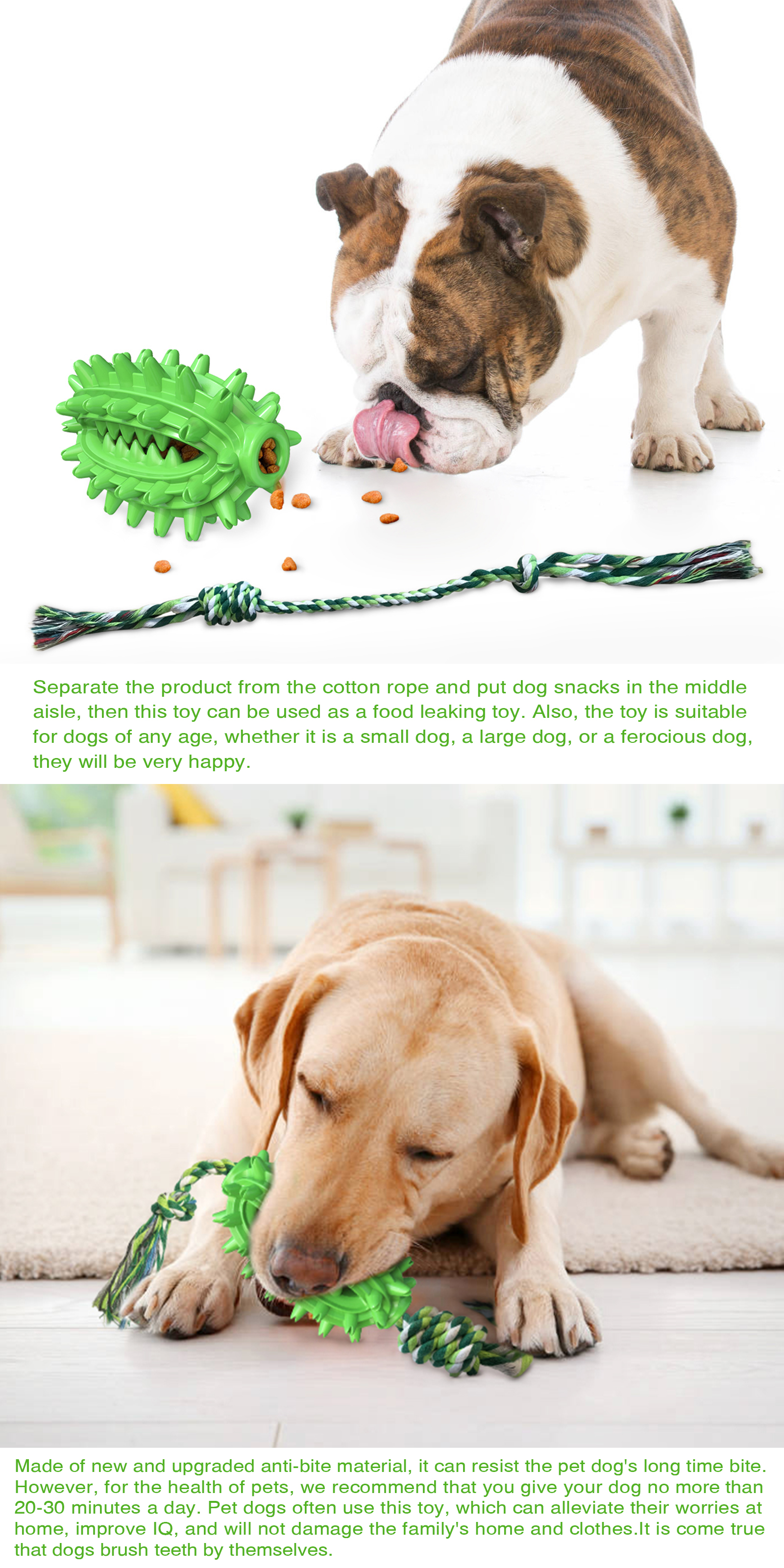 Prickly pear grinds teeth dog chew toys cactus molar ball for dogs