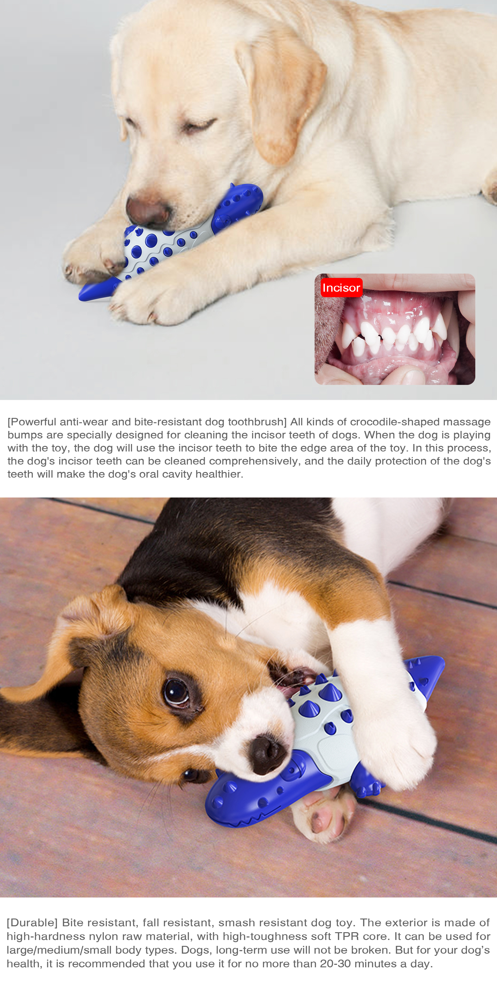 2022 Iron Armored Crocodile Chew Clean Teeth Molar Dog Toys Tough Wear-resistant Anti-biting Toothbrush Other Dog Accessories