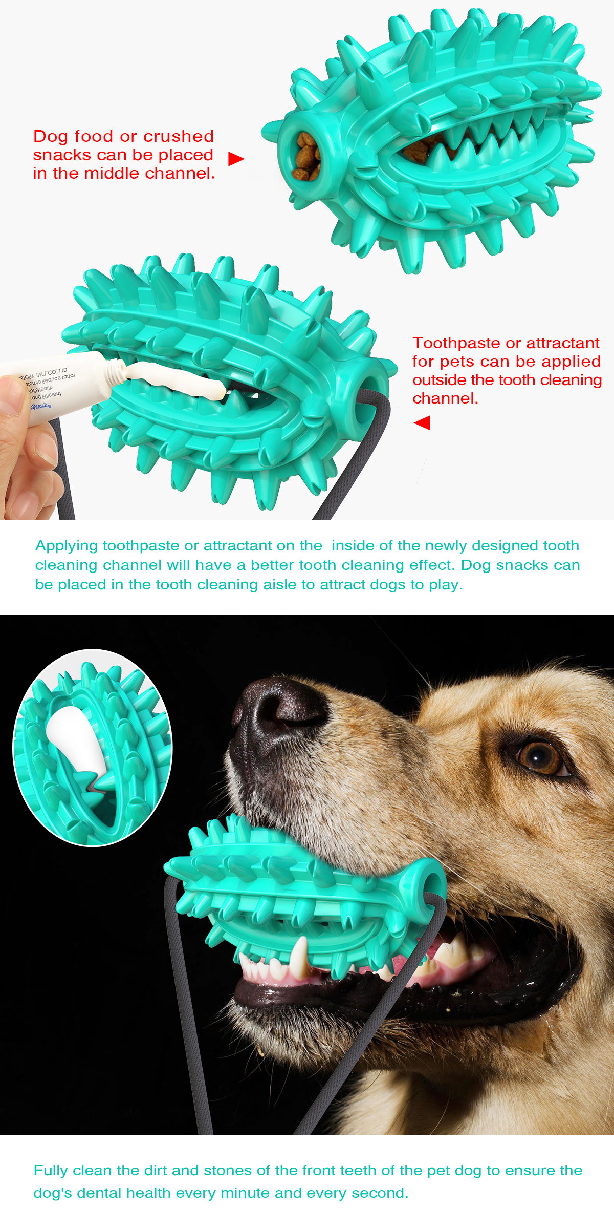 Wholesale Toys For Pet Dog Chew Pet Toy Single Sucker Cactus Molar Ball