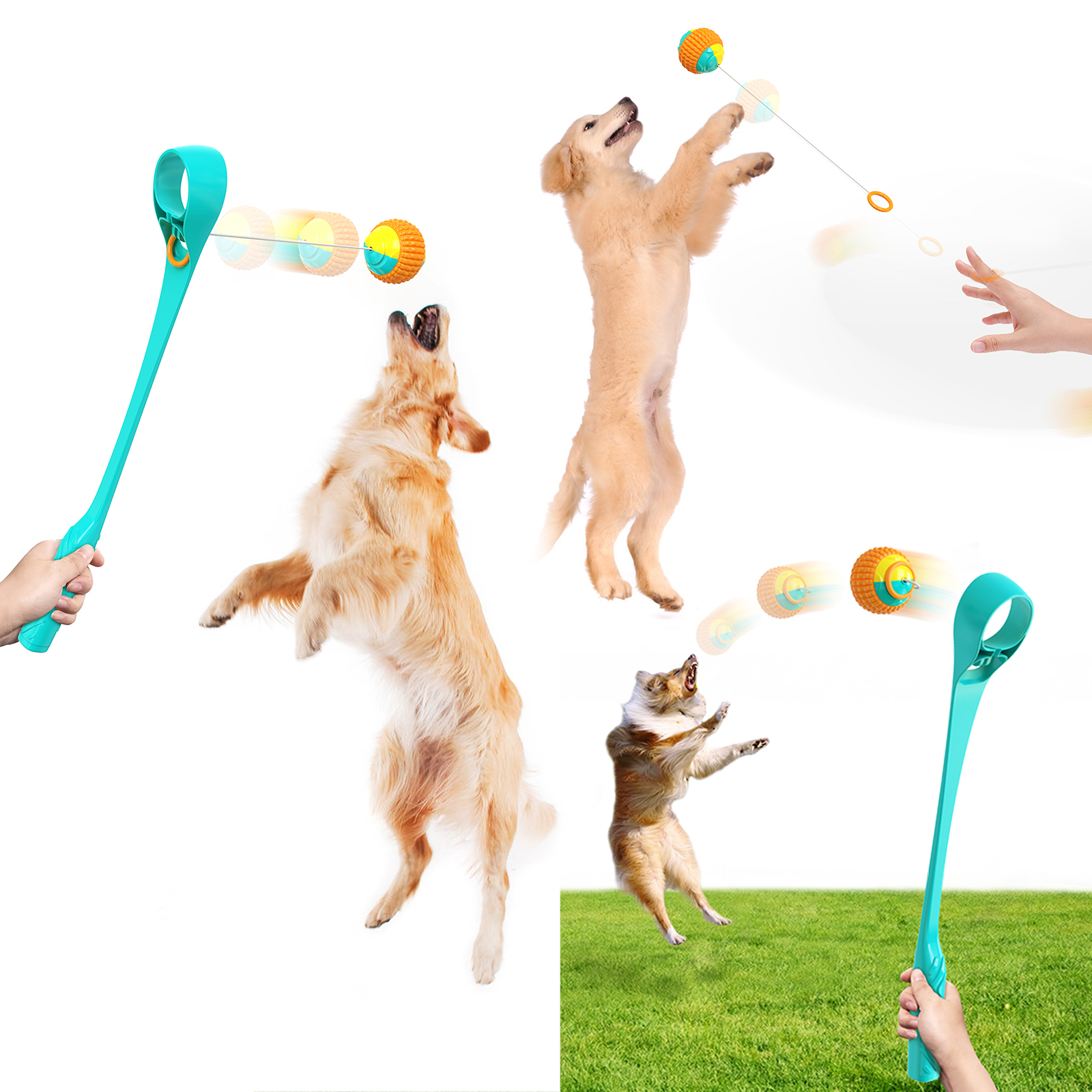 Wholesale Hot Style Molar Outdoor Throwing Club Dog Toy Squeaky Pet Dog Training Ball