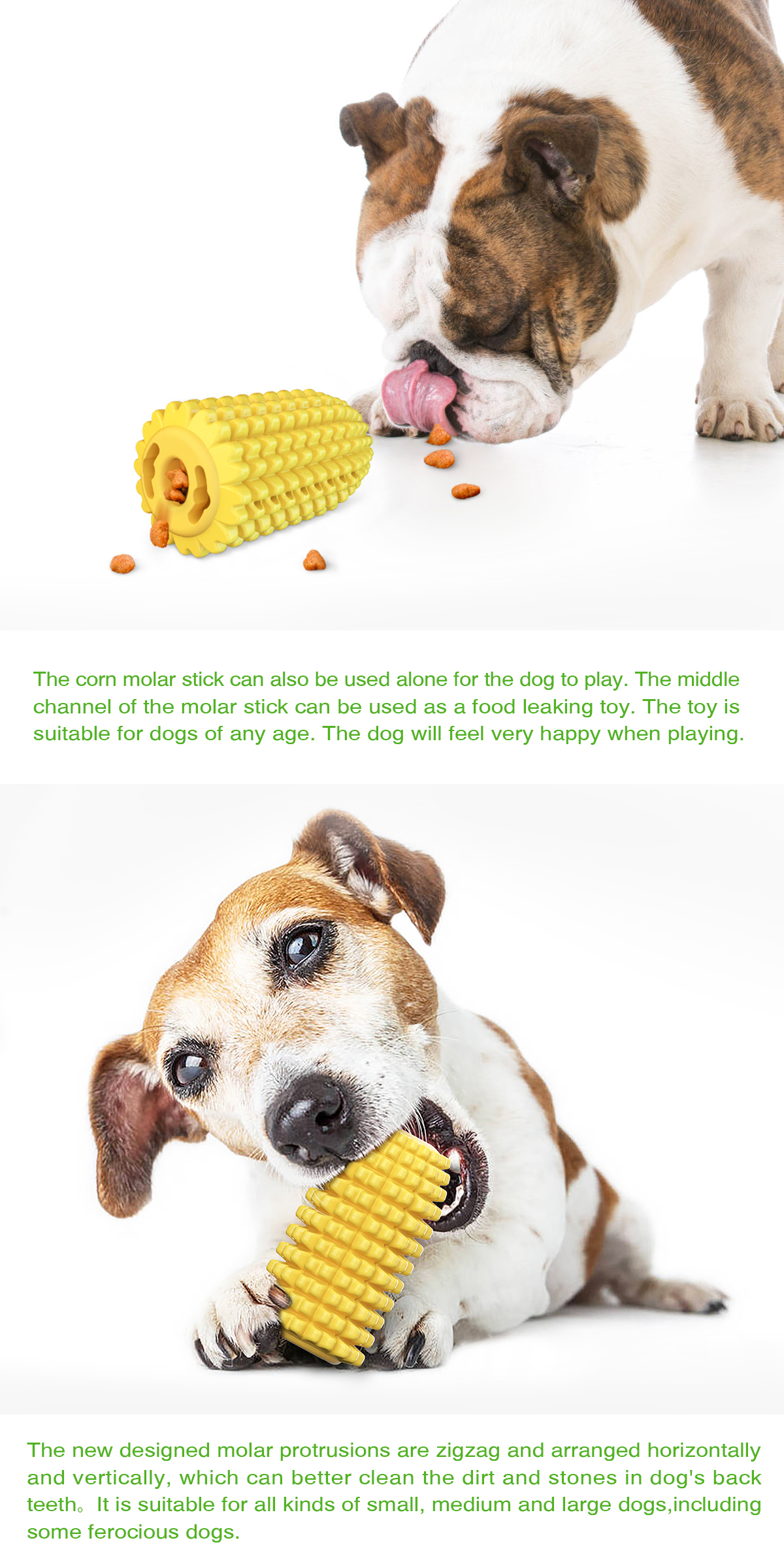 Sucker corn molars/dog toy chuck molar dog toy Clean mouth Single suction cup