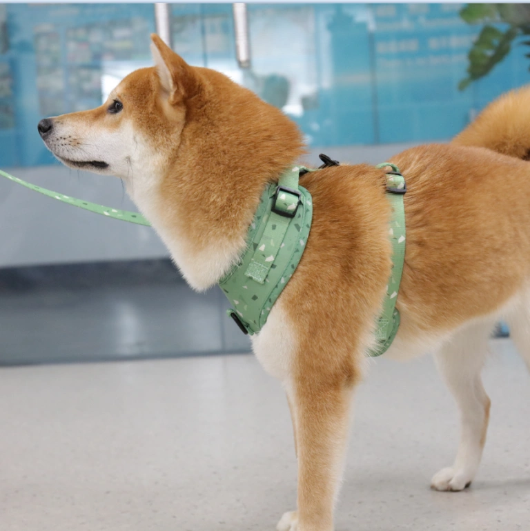 XS - Juego de arnés y correa para perros pequeños con soporte para bolsa de  excrementos y collar, arnés de malla suave para mascotas, chaleco