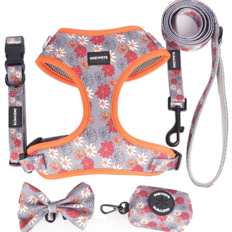 Wholesale New Nice-Looking Breathable Air Mesh Cat Harness and