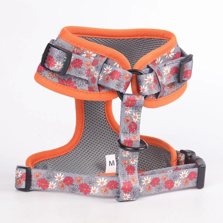 4Paws Empire  Dog collars, leashes, harnesses, accessories and essentials