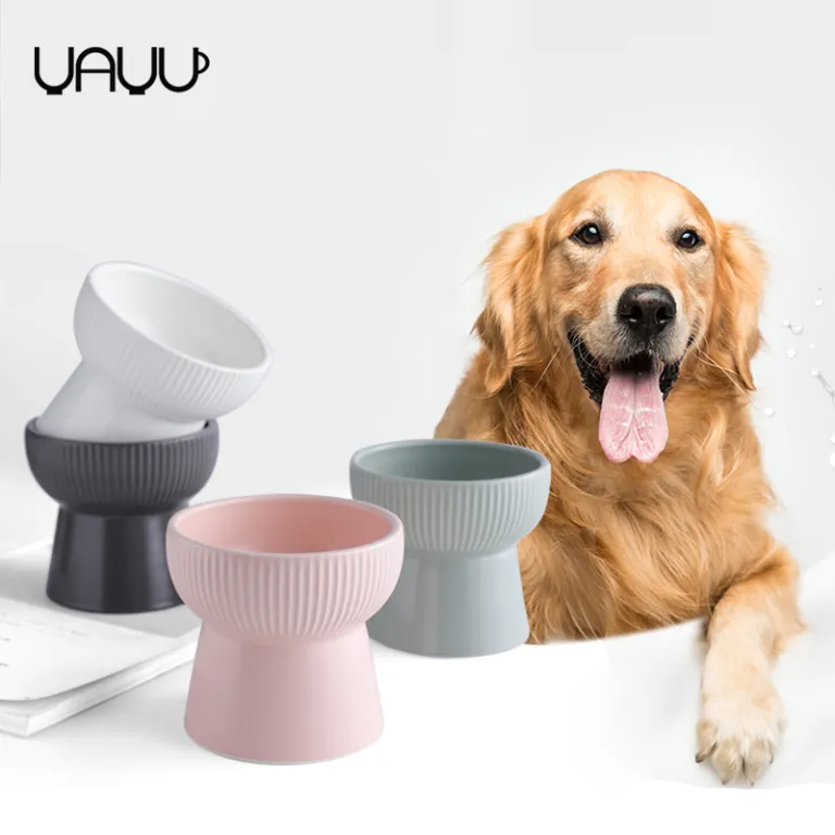 Modern Square Dog Bowl Set Elevated Pet Feeder Porcelain Pet Bowls
