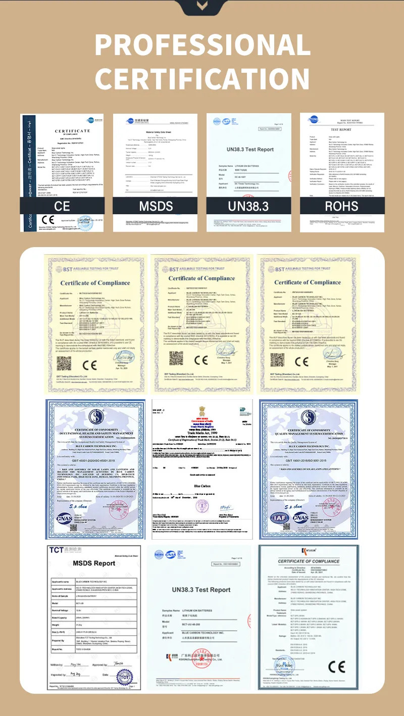 pịn lithium; blue carbon; pin lưu trữ;
