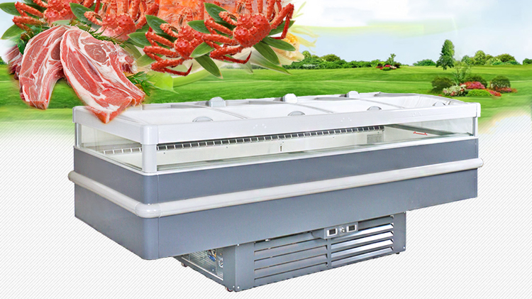 DUSUNG - DUSUNG 500L Multipurpose Commercial Combined Island Freezer 1.Island Freezer